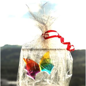 25 neu ausgebildete Bibliothekarinnen für OÖ