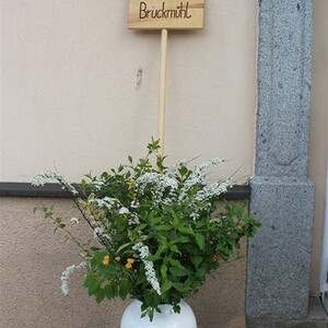 Trachtensonntag 2013