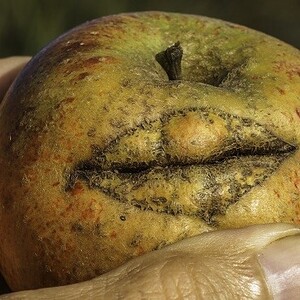 Fehlt dem Bauer d´ Frau zum Küssen, wird er den Apfel küssen müssen.