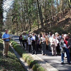 Kreuzwegandacht Ebelsberg-Pichling im Schiltenberg