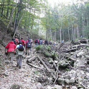 Bergmesse Ennserhütte
