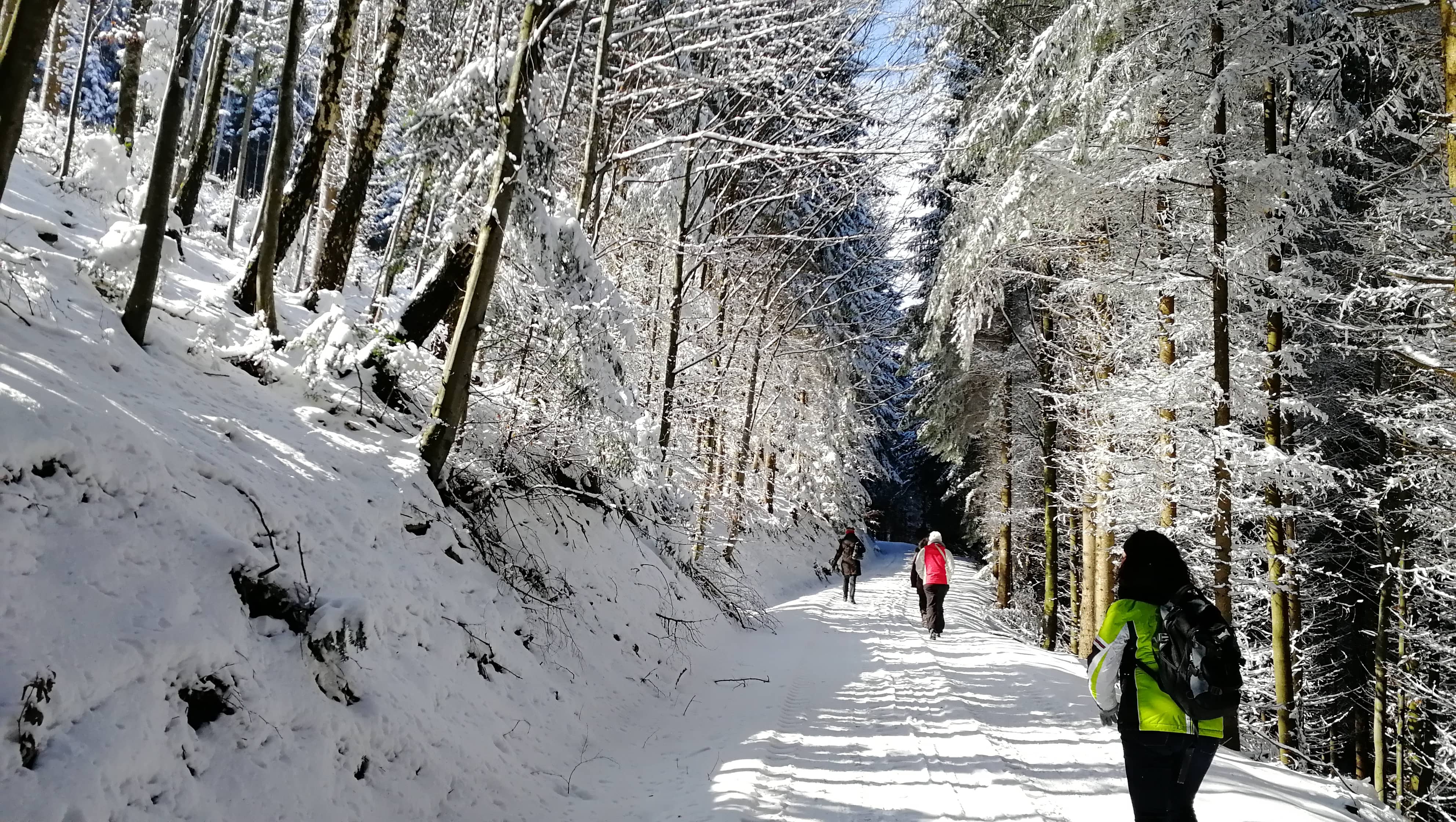 Wie auch schon die vergangenen Jahre machte sich das KBW Team am vergangenen Sonntag auf den Weg zur Jahresplanung. Nach einem kurzen Fußmarsch durch herrliche Winterlandschaften, brachte das Team wieder viele gute Ideen und Vorträge für das Jahr 201