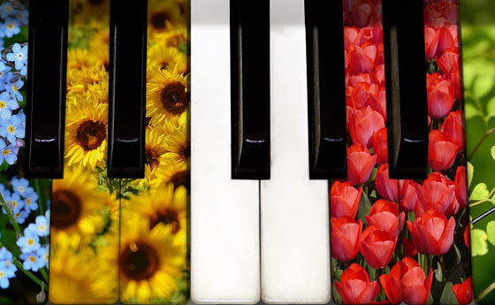 Linzer Orgelfrühling 2017