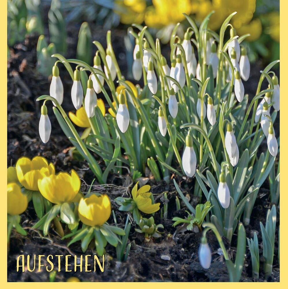 Pfarrbrief Ausgabe 1/2026