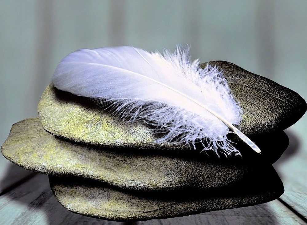 Feathers