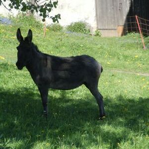 meditative Pilgerwanderung 