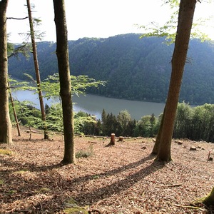 meditative Pilgerwanderung 28.4.18