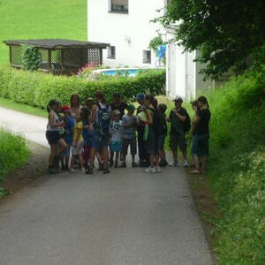Wanderung der Minis