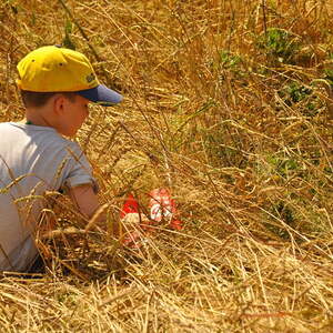 JS- und Minilager 2015