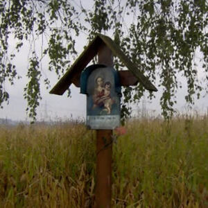 auf der Spitzerhöhe