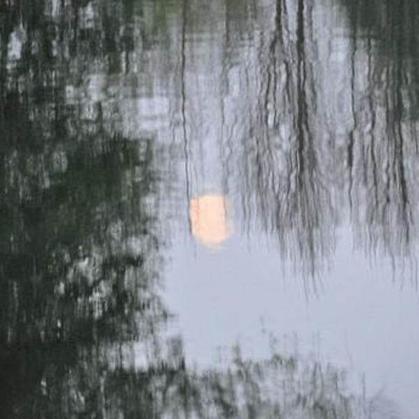 Emmausgang in den Ebelsberger-Traunauen