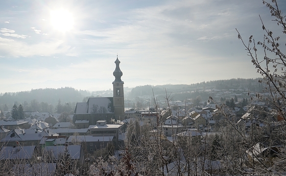  Pfarrkirche Vöcklamarkt                              