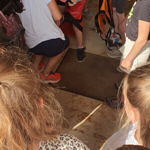 Minis lassen sich abseilen