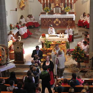 Pfarre Neumarkt im Mühlkreis