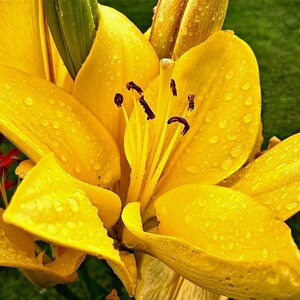 Fußwallfahrt 2022 nach Admont und Umgebung