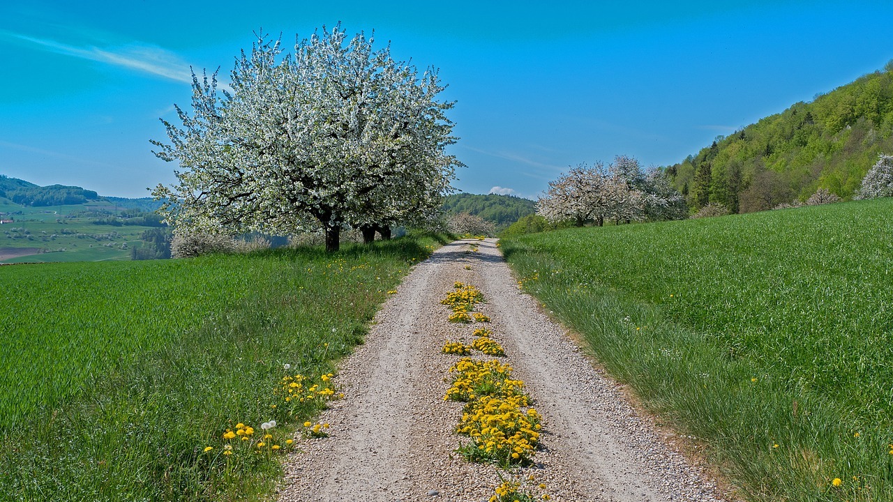 Österliches Pilgern