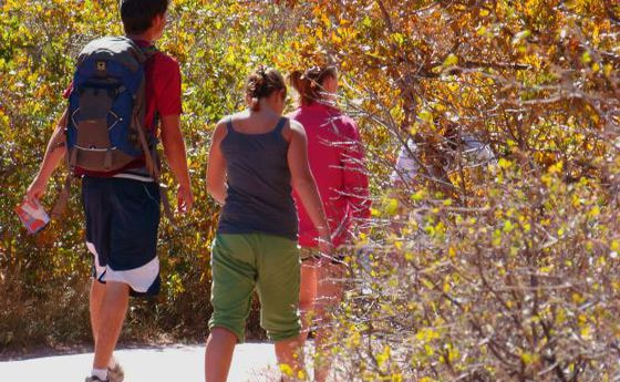 Auf auf zum Wandern!                          