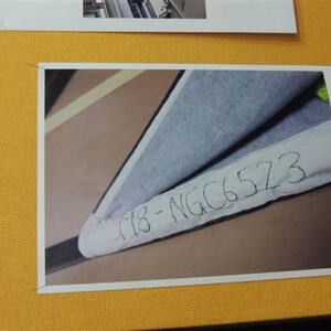 Segnung des Eferdinger Fastentuches