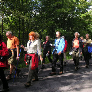 Pilgerweg in Würzburg