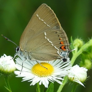 Heidewald Schieferegg - Umweltarbeit in der Diözese Linz