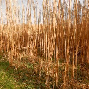 Meditative Pilgerwanderung