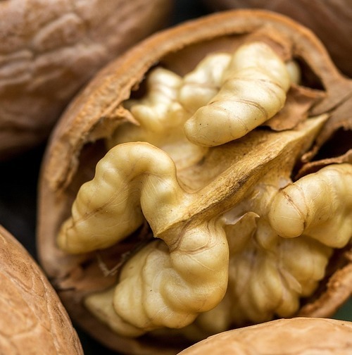 Walnuss