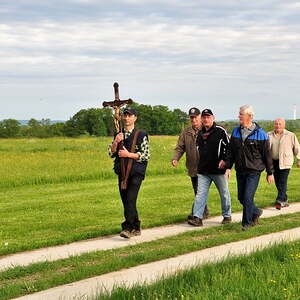 am Weg zum Stierlingerwald