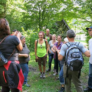 Naturerlebnisweg Pfarrwald Vöcklabruck