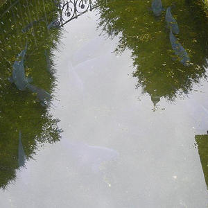 Bierwallfahrt Wilhering - Dörnbach