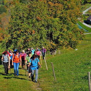 14. bis 15 Okt. 2017