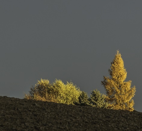 November / @Pfarre Offenhausen_Roland Mayr November