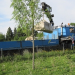 Kletterfelsen im Kindergarten