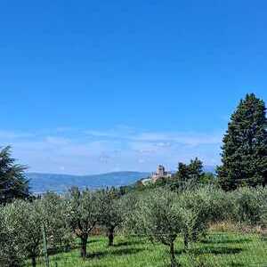 Ministrantenreise Assisi