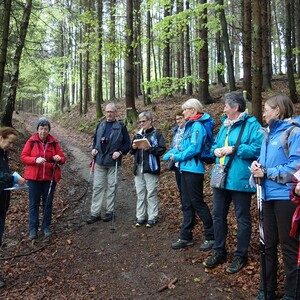 Pilgerwanderung 2017