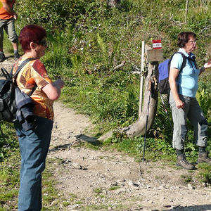 Bergmesse Ennserhütte