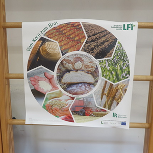 Die Bäuerinnen besuchten die Schulanfänger