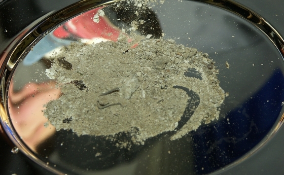 Aschermittwoch: Asche auf Teller / © Kommunikationsbüro Aschermittwoch: Asche auf Teller