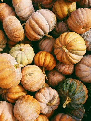 Herbst