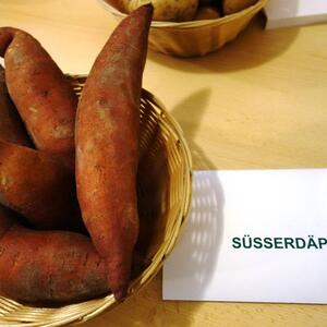 Erdäpfel – Knolle der Vielfalt