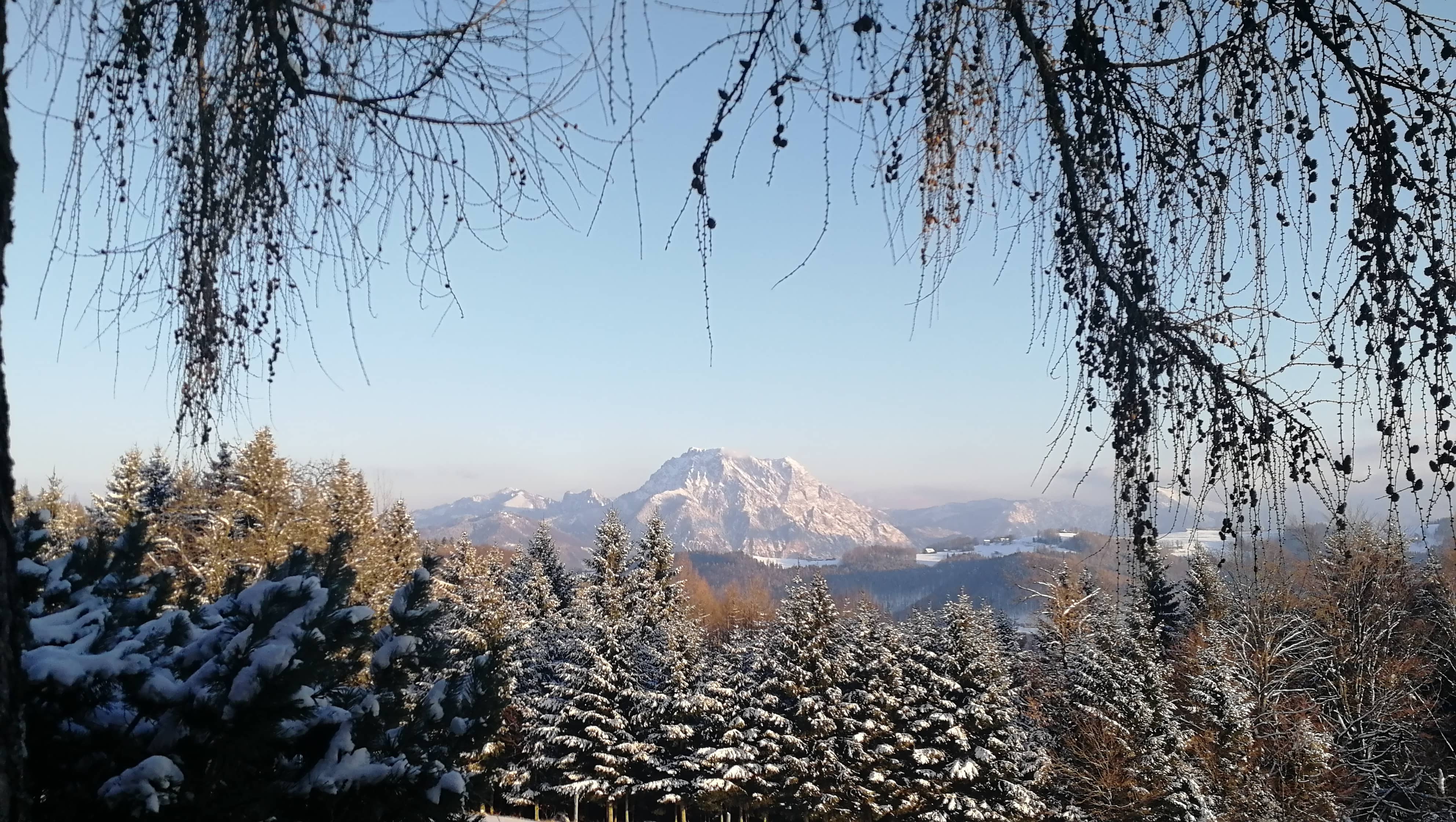 Wie auch schon die vergangenen Jahre machte sich das KBW Team am vergangenen Sonntag auf den Weg zur Jahresplanung. Nach einem kurzen Fußmarsch durch herrliche Winterlandschaften, brachte das Team wieder viele gute Ideen und Vorträge für das Jahr 201