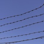 Gedenk- und Befreiungsfeier Mauthausen 2025