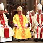 Dankfest am 31. 1. 2016 im Linzer Mariendom