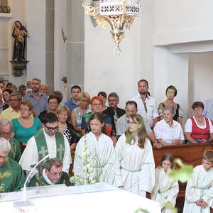 Priesterjubiläen 2015