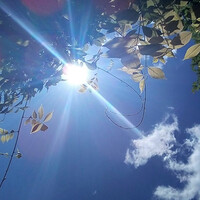 Sonne / © Pfarrgmeinde Hellmondsödt Sonne