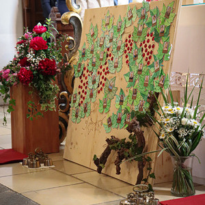 Erstkommunion 2025, Pfarre Sarleinsbach