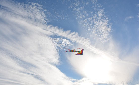 Der Duft von Freiheit – Kraftvoll mein Leben und meine Welt gestalten