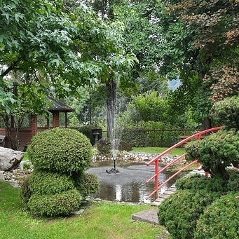 Frauenwallfahrt der kfb 2022