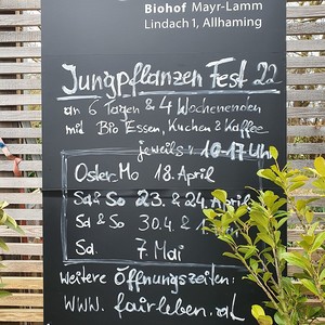 Jungpflanzenfest