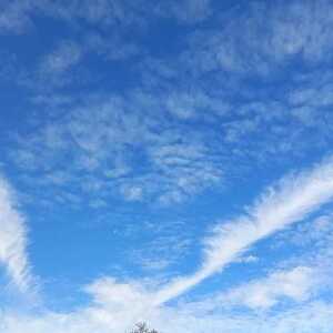 Gunskirchener Pilgertag 2022