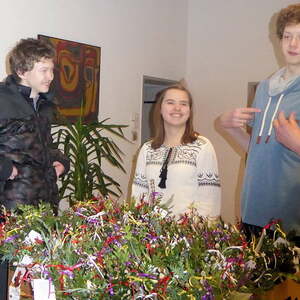 180 Palmbeserl für Alte und Kranke